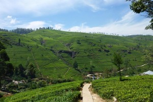 Kingdom Ayurveda Resort - Montagnes verdoyantes, Sri Lanka