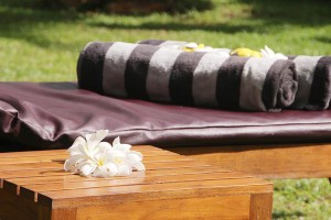 Ayurveda Kingdom Resort Sri Lanka - Autres services disponibles