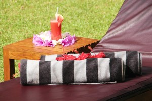 Ayurveda Kingdom Resort Sri Lanka - Autres services disponibles