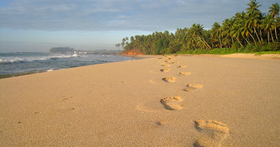 Kingdom Ayurveda Resort - biela piesočnatá bracha na juhu Srí Lanky