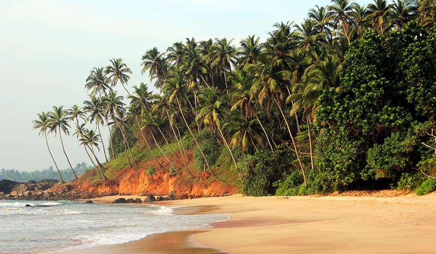 royaume-ayurveda-resort-sri-lanka-panorama