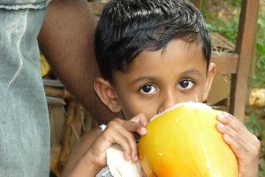 Kingdom Ayurveda Resort - Obyvateľstvo, Sri Lanka