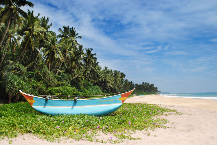 Kingdom Ayurveda Resort - Centre spécialisé dans les soins ayurvédiques au Sri Lanka